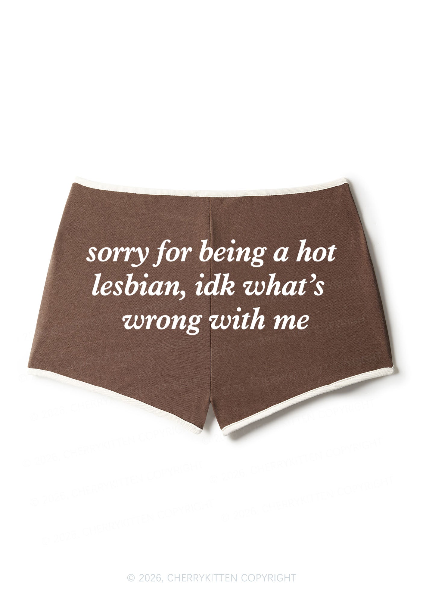 Sorry For Being Hot Lesbian Pride Y2K Booty Shorts Cherrykitten