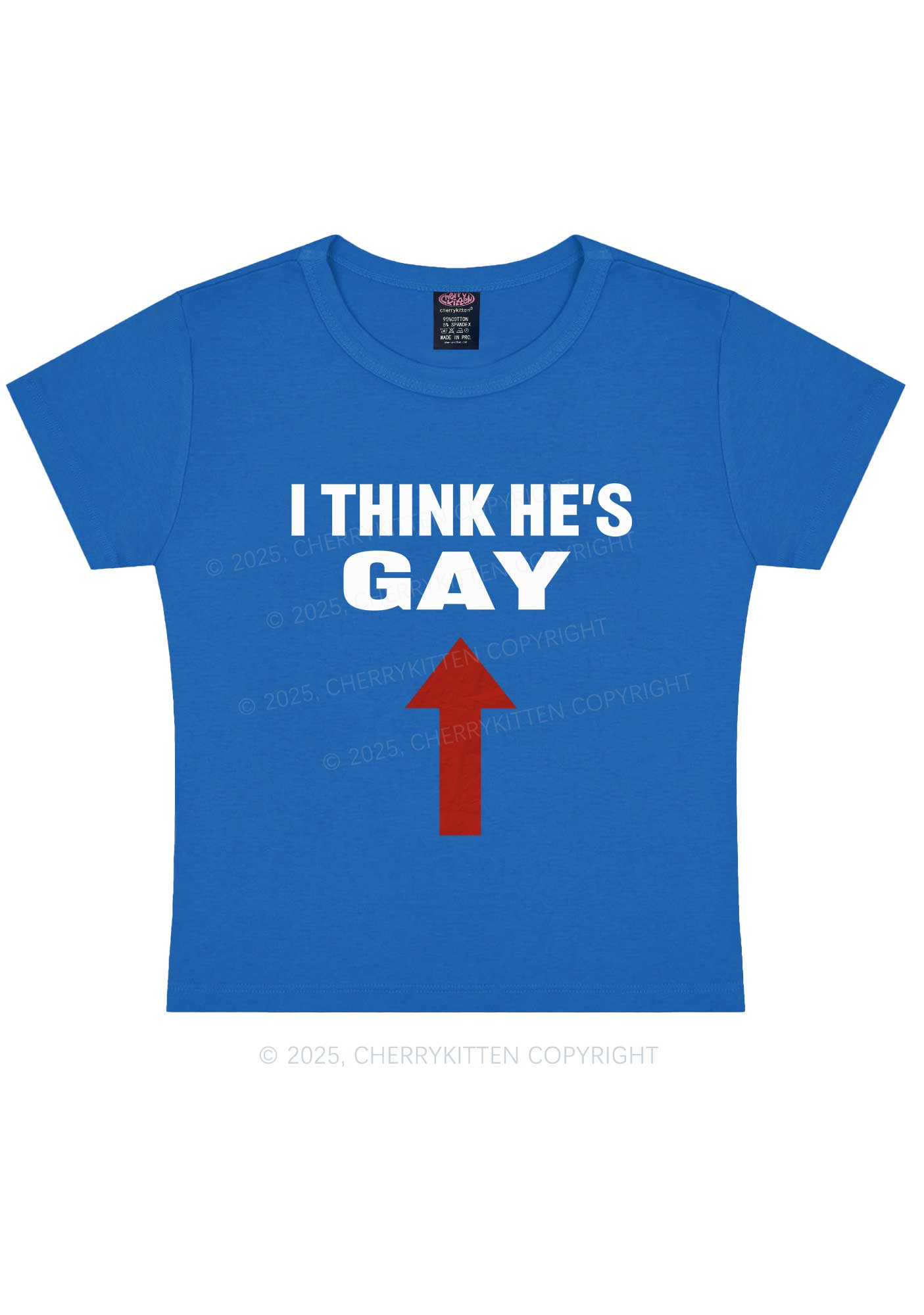He Is Gay Y2K Baby Tee Cherrykitten