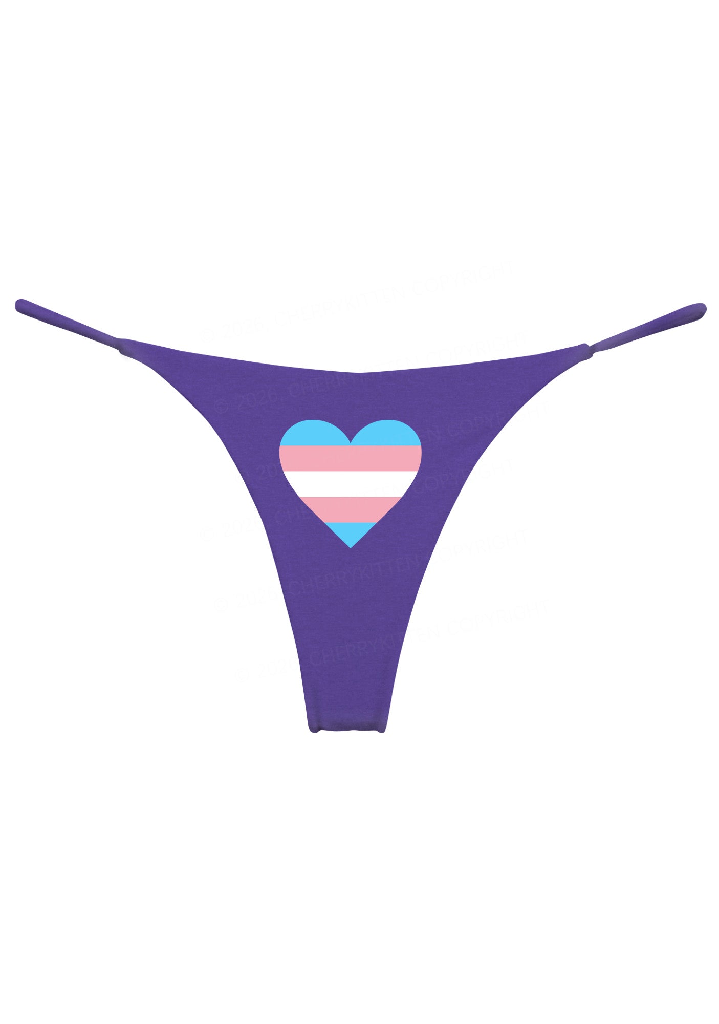 Trans Heart Pride Y2K Bikini String Thong Cherrykitten