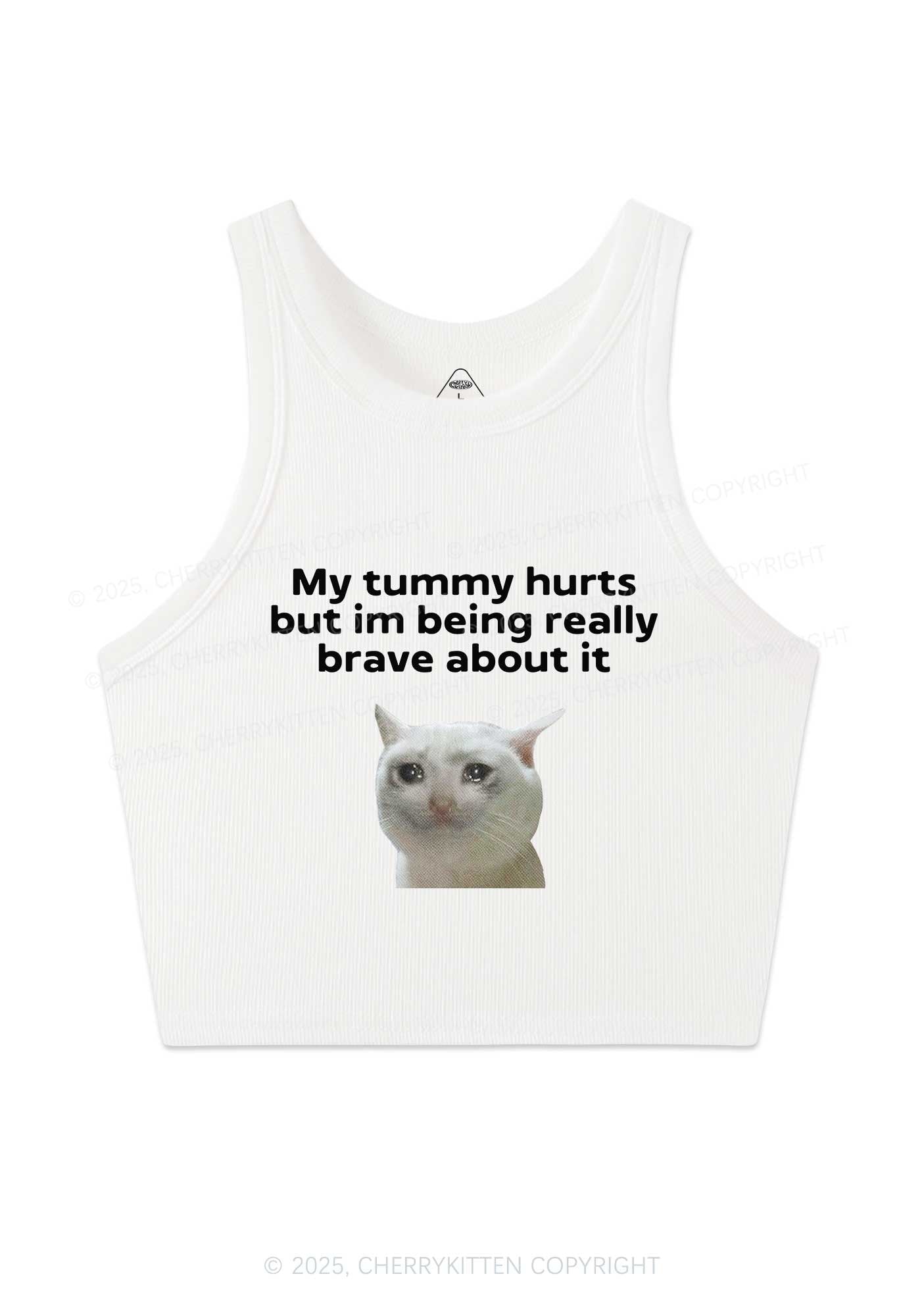 Cat Tummy Hurts Y2K Crop Tank Top Cherrykitten