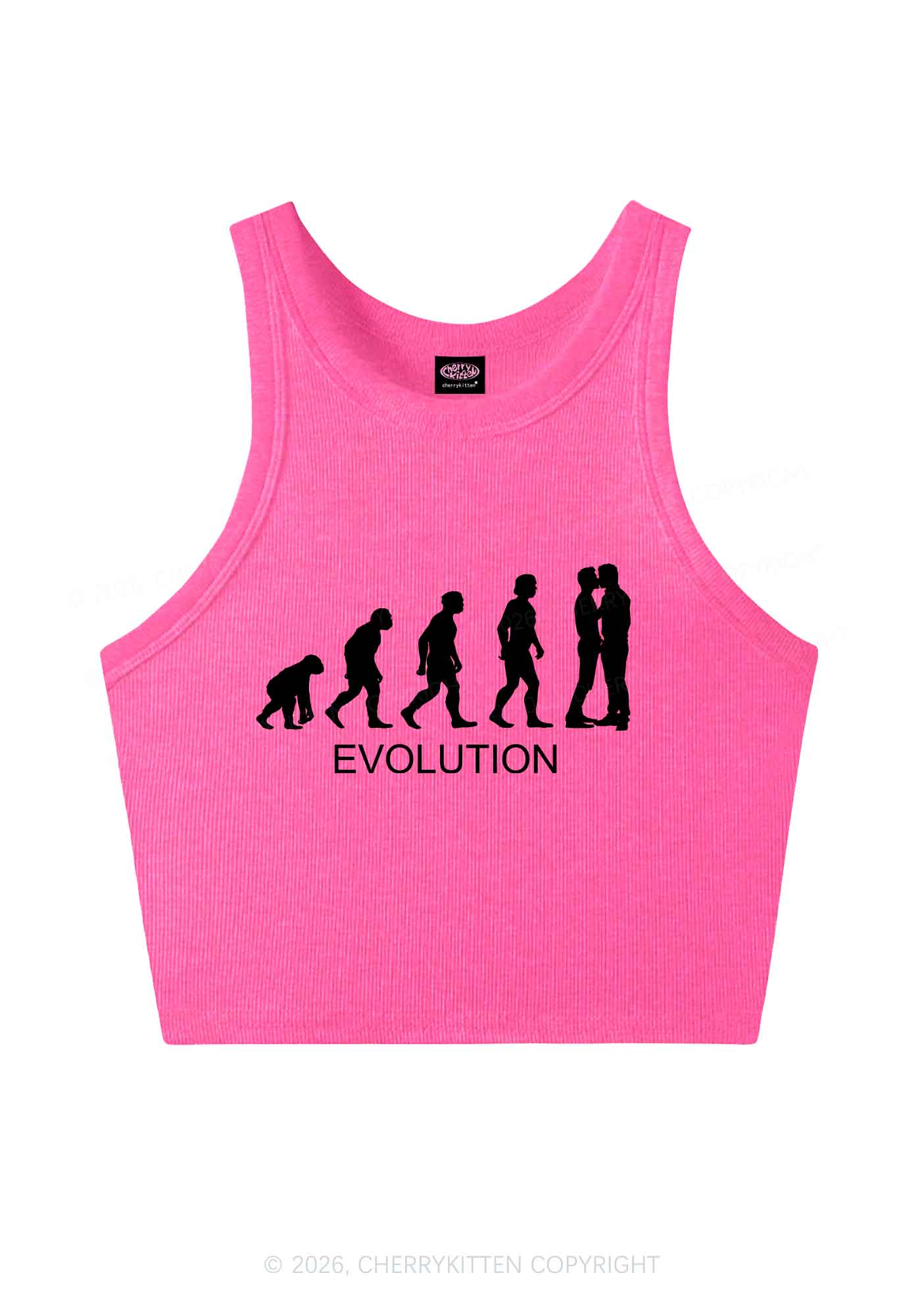Gay Evolution Pride Y2K Crop Tank Top Cherrykitten