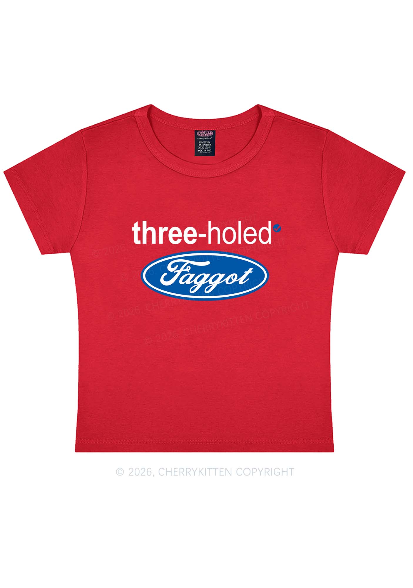 Three Holed Faggot Pride Y2K Baby Tee Cherrykitten