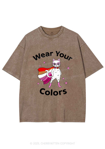 Lesbian Flag Cat Pride Y2K Shirts Washed Tee Cherrykitten