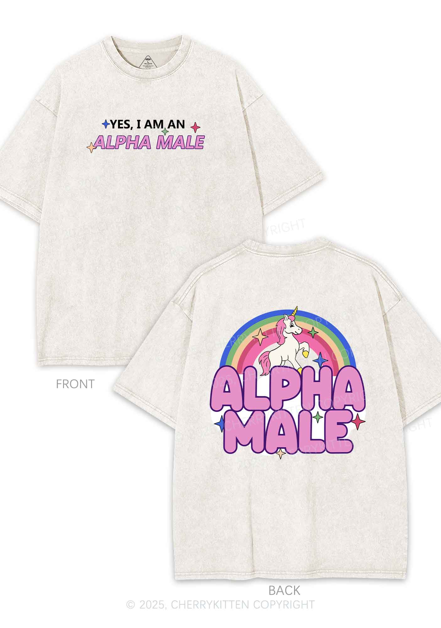 Alpha Male Two Sides Pride Y2K Shirts Washed Tee Cherrykitten