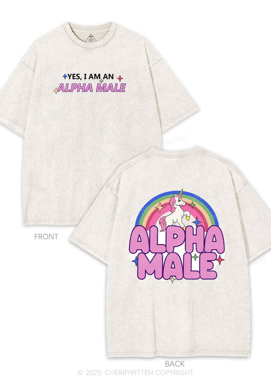 Alpha Male Two Sides Pride Y2K Shirts Washed Tee Cherrykitten