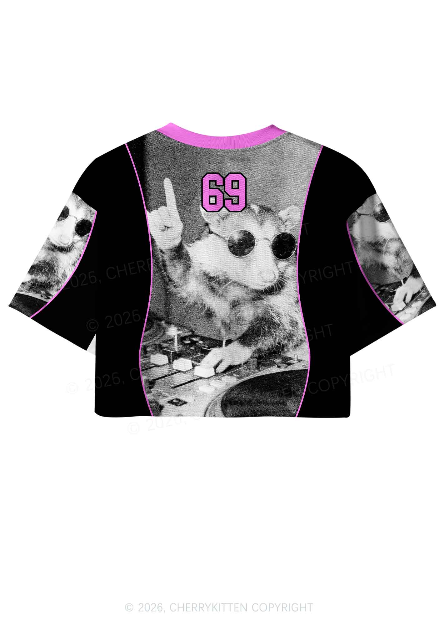 DJ Possum Y2K Crop Sport Jersey Shirts Cherrykitten