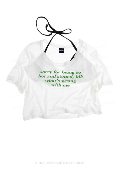 Sorry For Being Hot And Stoned Y2K Sheer Crop Tee Cherrykitten