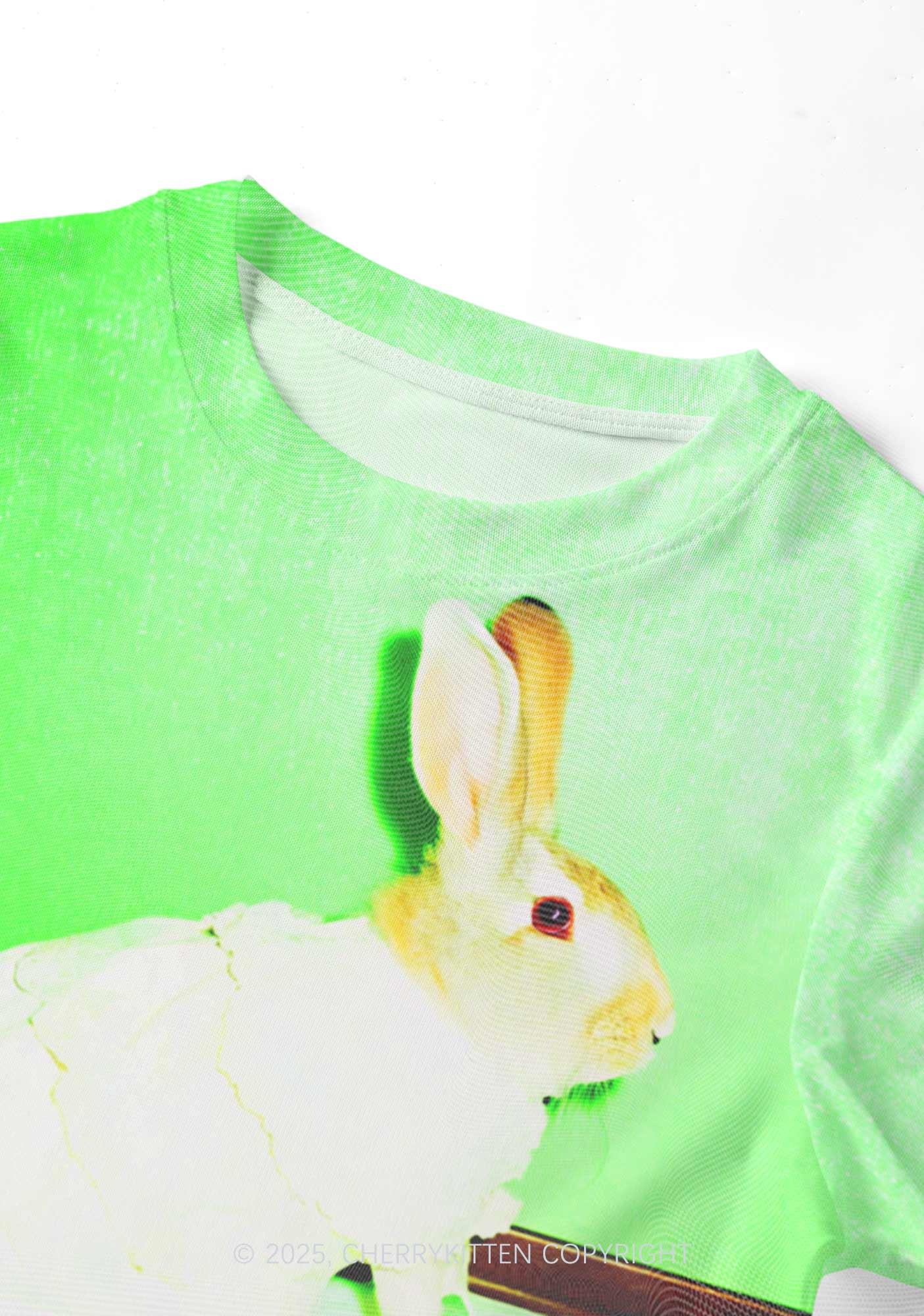 Red Eyed Rabbit Y2K Mesh Crop Top Cherrykitten