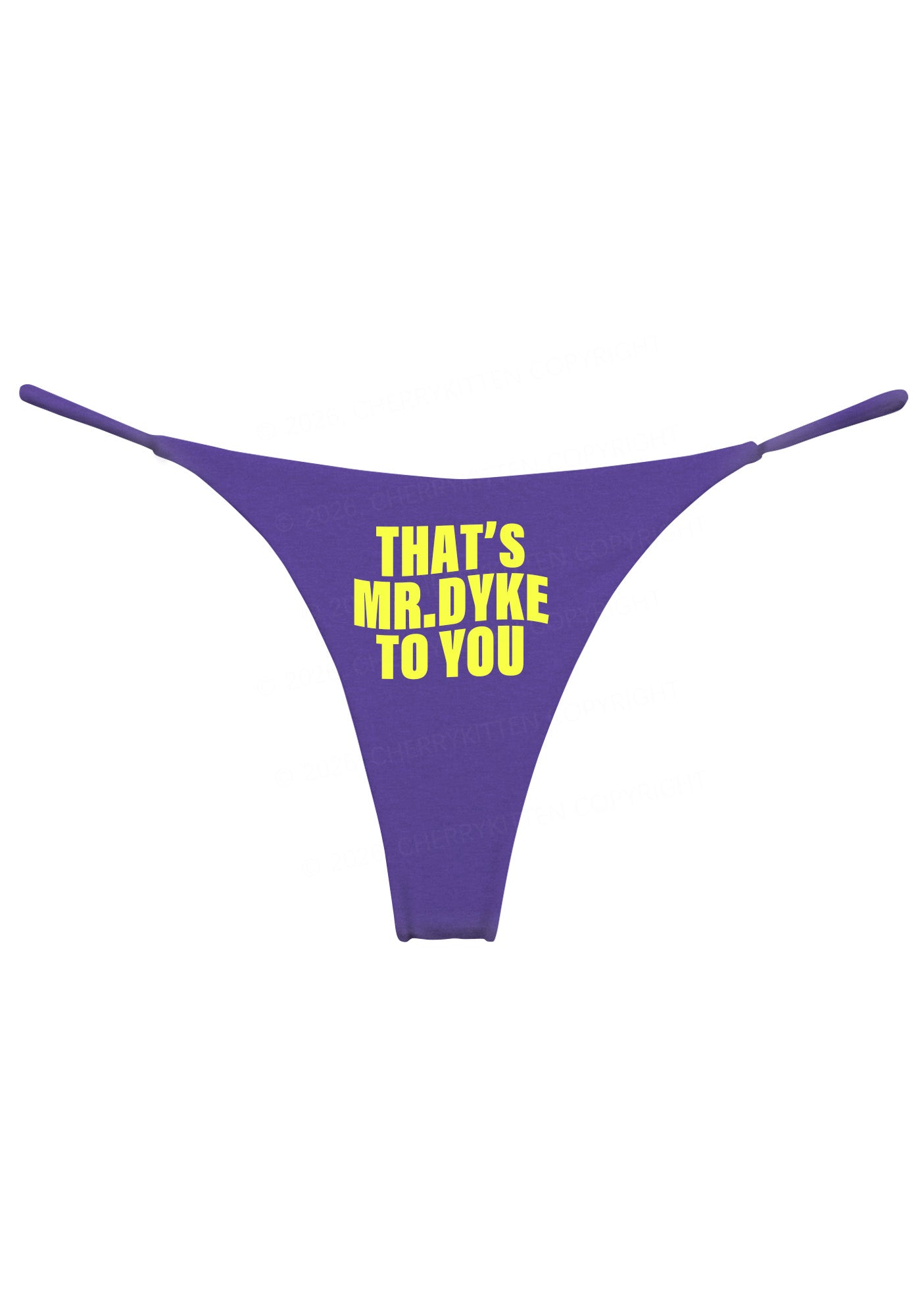 Thats Mr Dyke To You Pride Y2K Bikini String Thong Cherrykitten