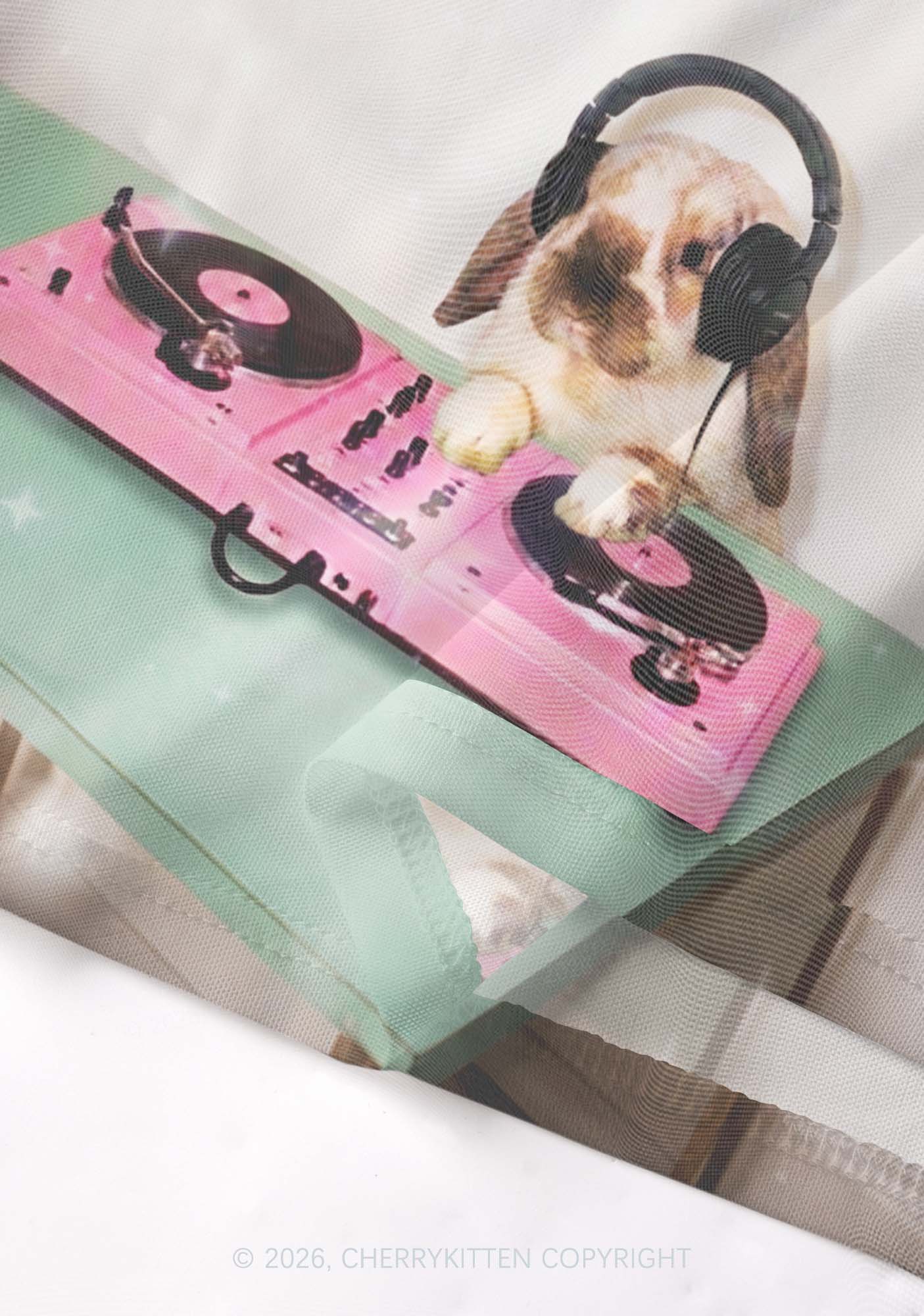 Lop Eared Bunny DJ Y2K Mesh Crop Top Cherrykitten