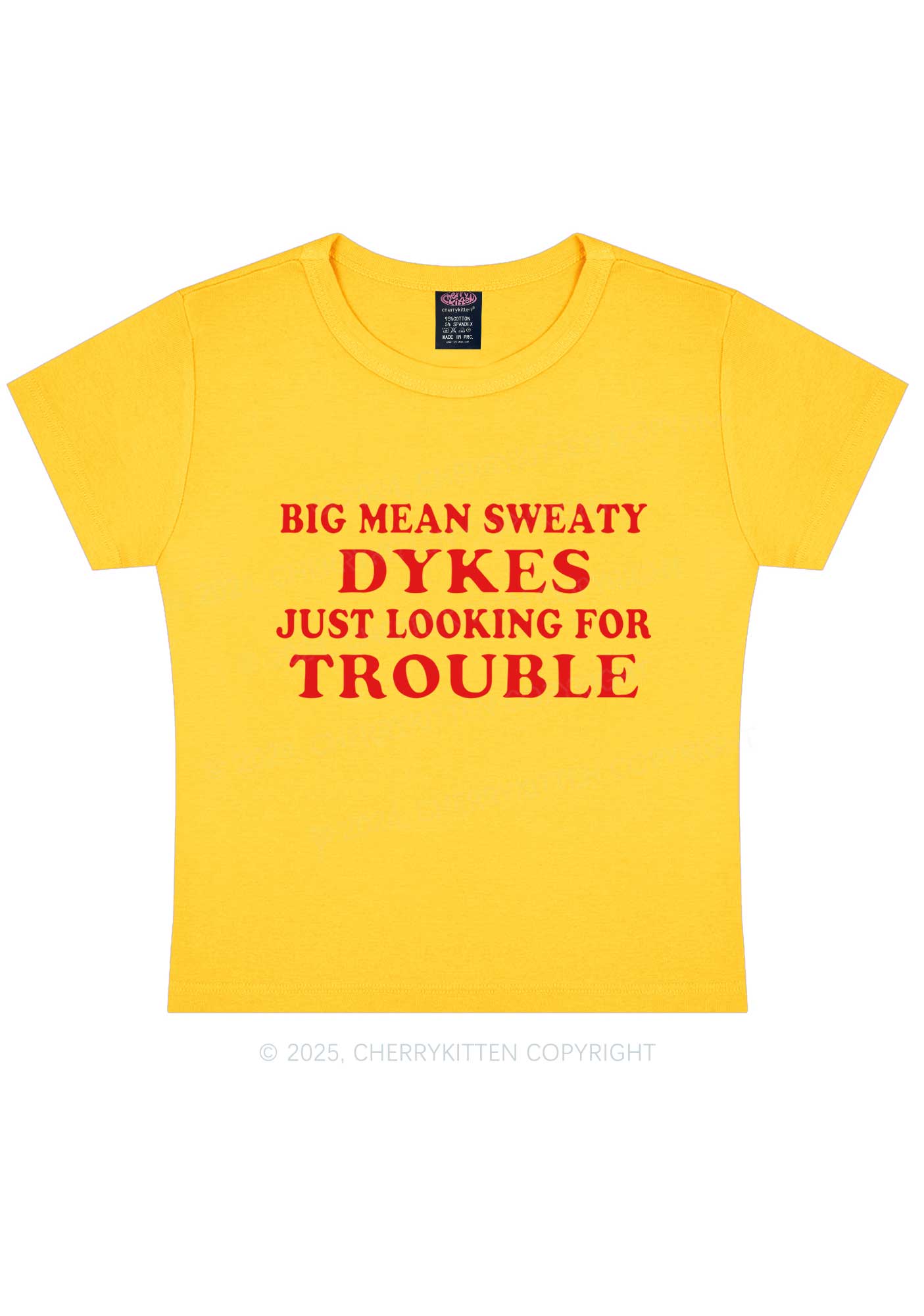 Dykes Trouble Y2K Baby Tee Cherrykitten