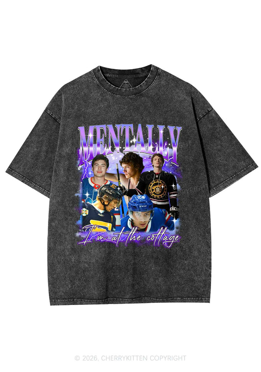Purple Mentally At The Cottage HR Y2K Shirts Washed Tee Cherrykitten