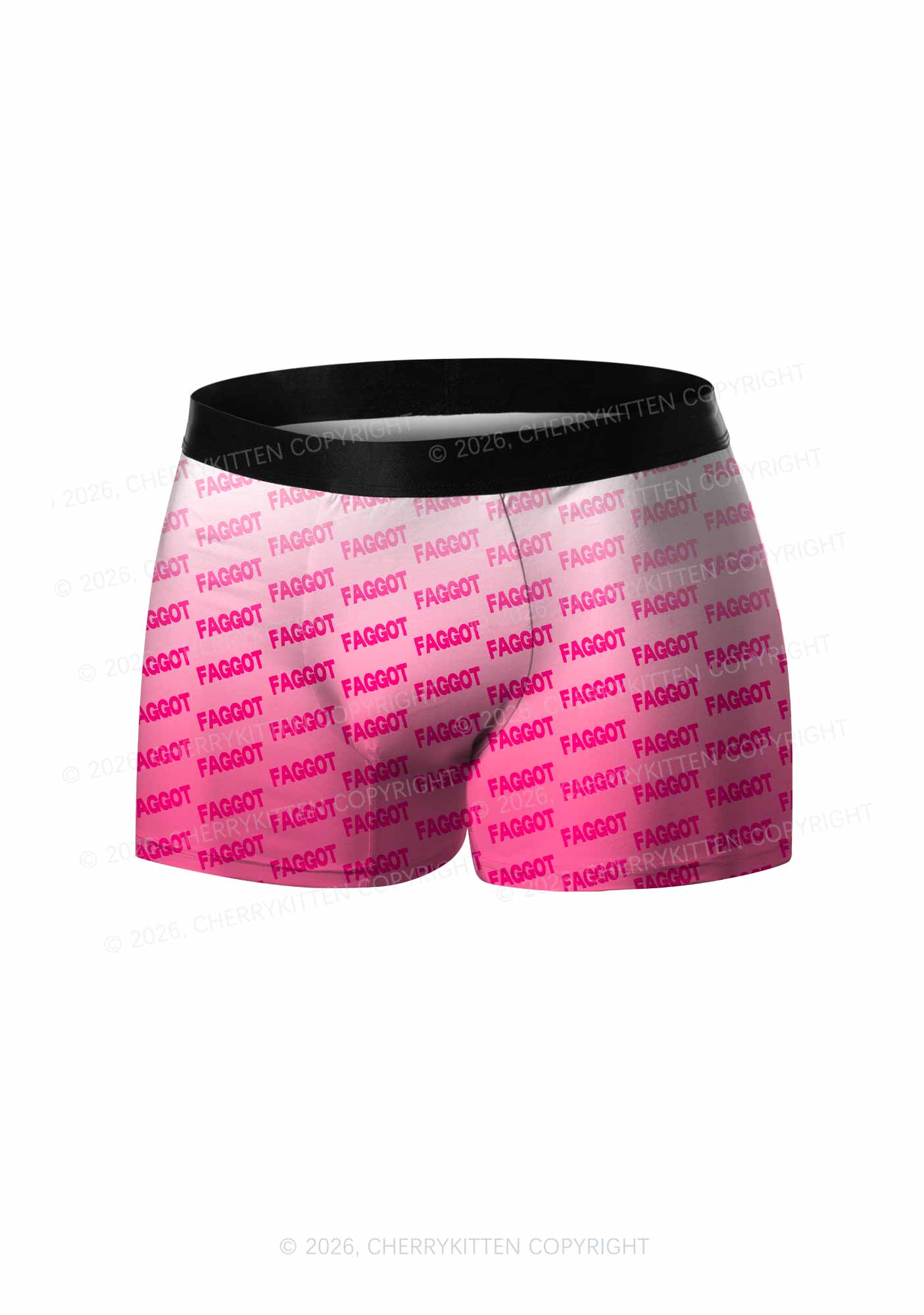 Faded Pink Faggot Pride Y2K Print Men Boxer Briefs Cherrykitten