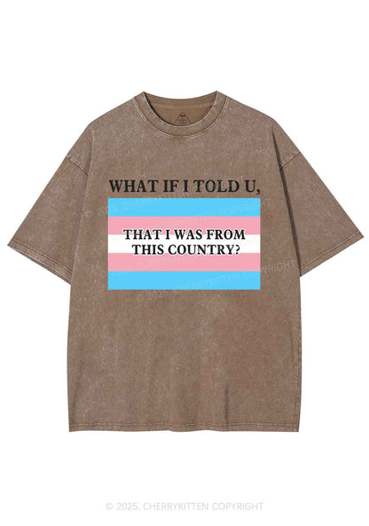 I Was From This Country Y2K Shirts Washed Tee Cherrykitten