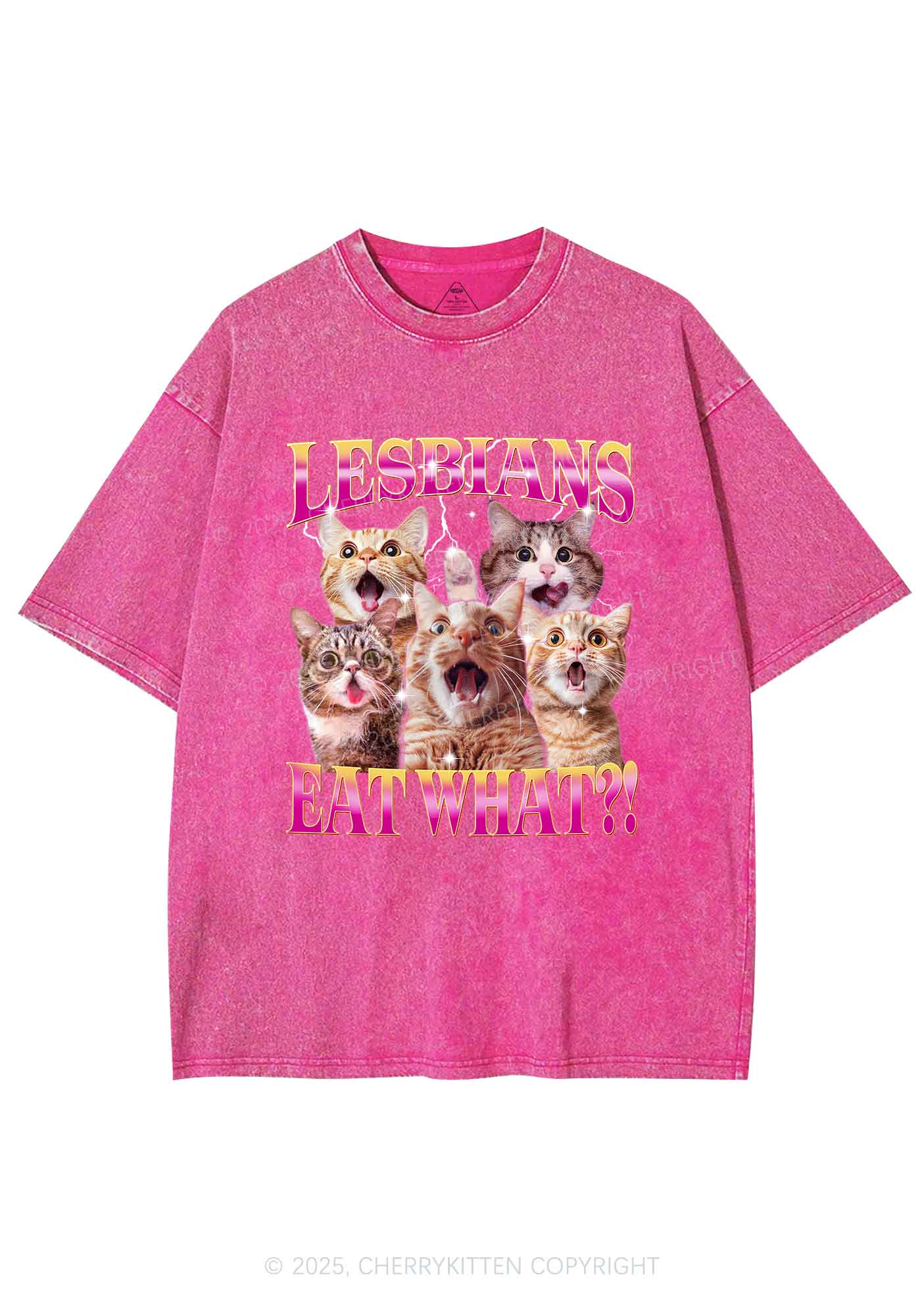 Funny Lesbian Cat Y2K Shirts Washed Tee Cherrykitten
