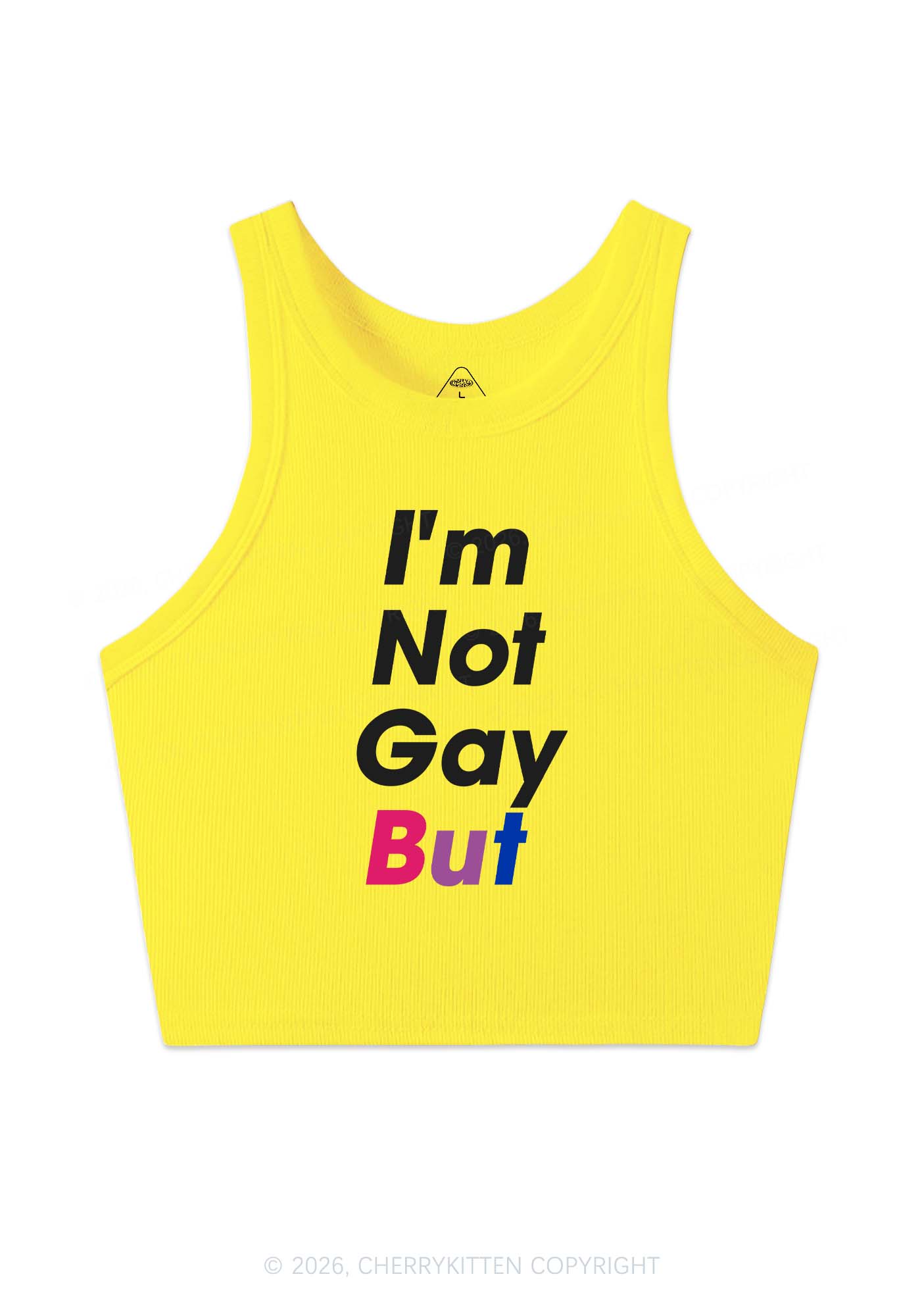 Im Not Gay But Pride Y2K Crop Tank Top Cherrykitten