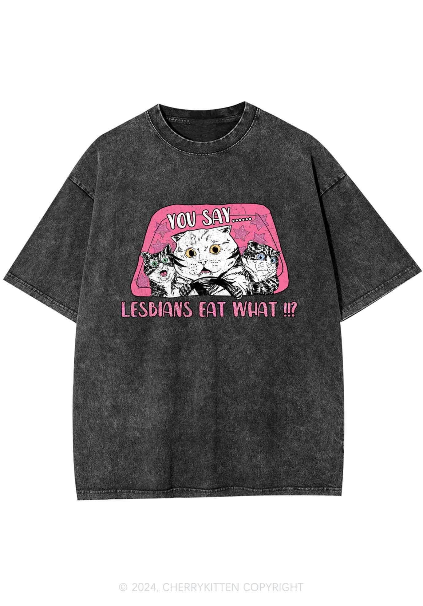 You Say Lesbians Eat What Y2K Washed Tee Cherrykitten