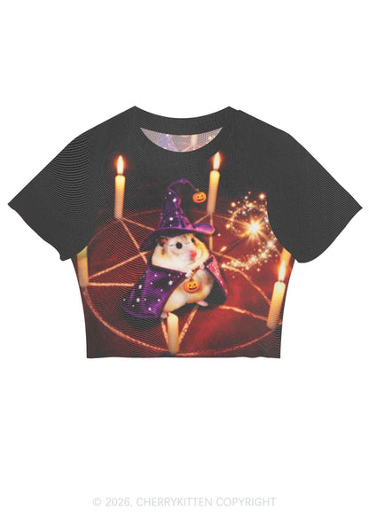 Halloween Wizard Hamster Y2K Mesh Crop Top Cherrykitten
