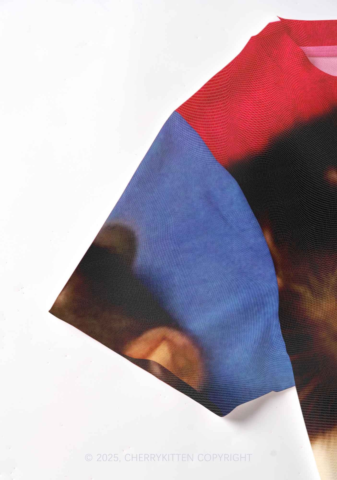 Rats with Doll Y2K Mesh Crop Top Cherrykitten