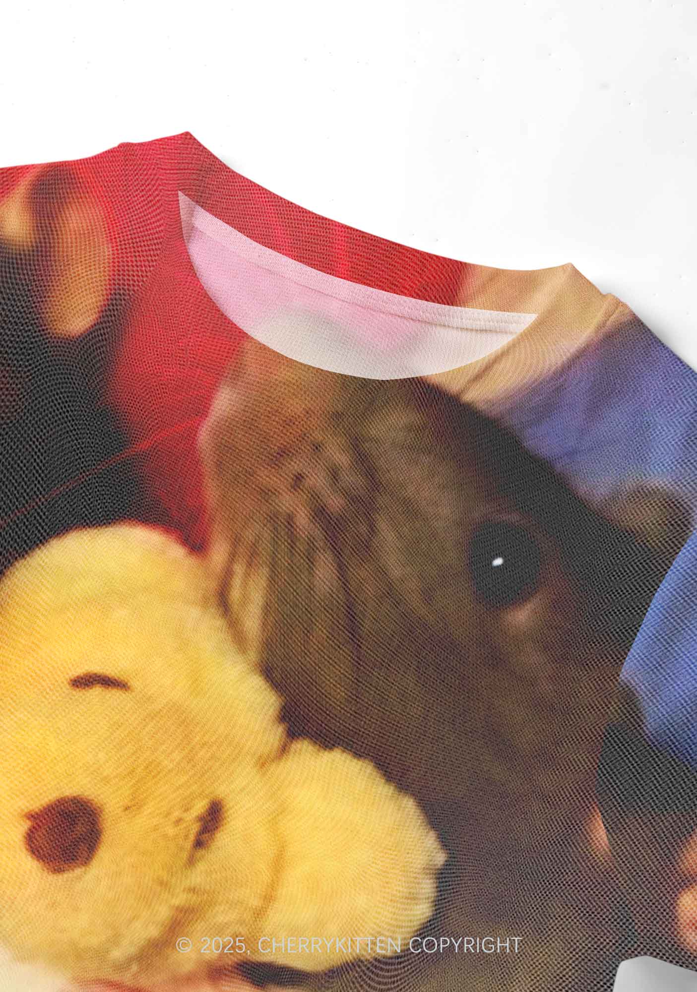 Rats with Doll Y2K Mesh Crop Top Cherrykitten
