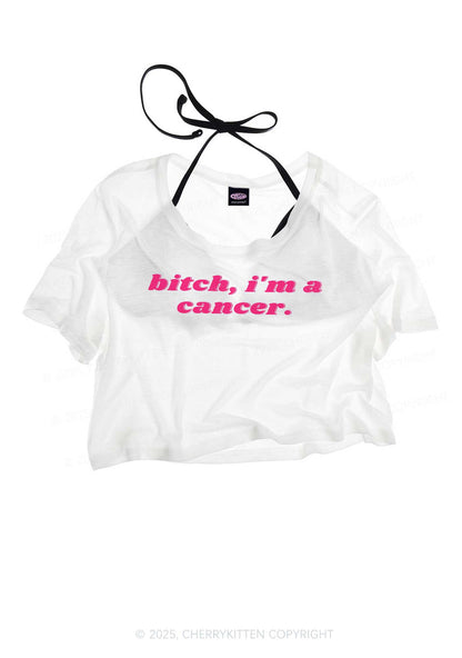 Bxtch Im A Custom Zodiac Y2K Sheer Crop Tee Cherrykitten