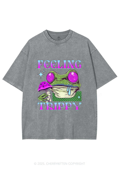 Frog Feeling Trippy Y2K Washed Tee Cherrykitten