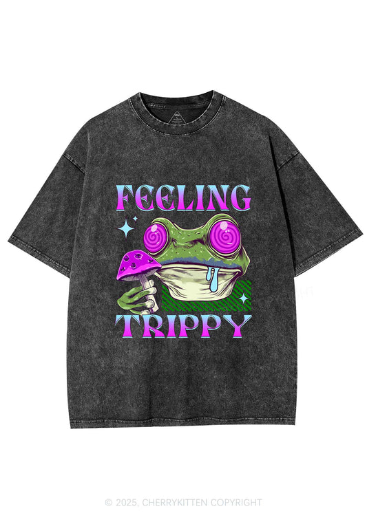 Frog Feeling Trippy Y2K Washed Tee Cherrykitten