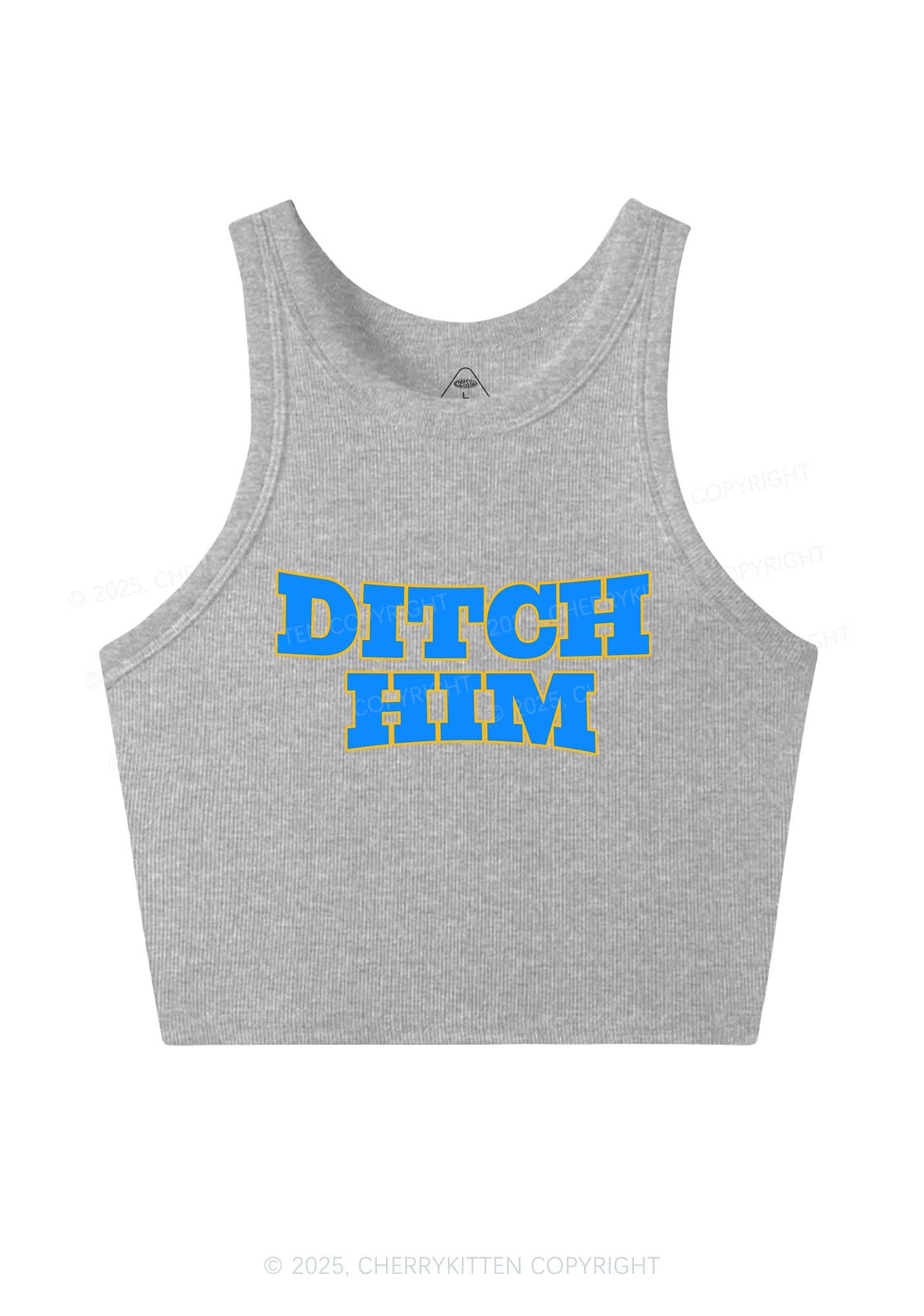 Ditch Him Pride Y2K Crop Tank Top Cherrykitten