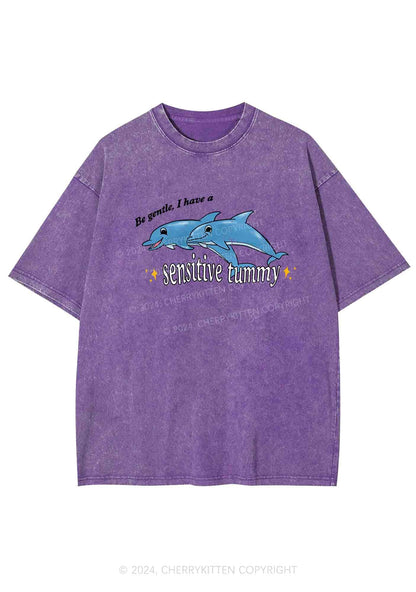 Sensitive Tummy Y2K Washed Tee Cherrykitten