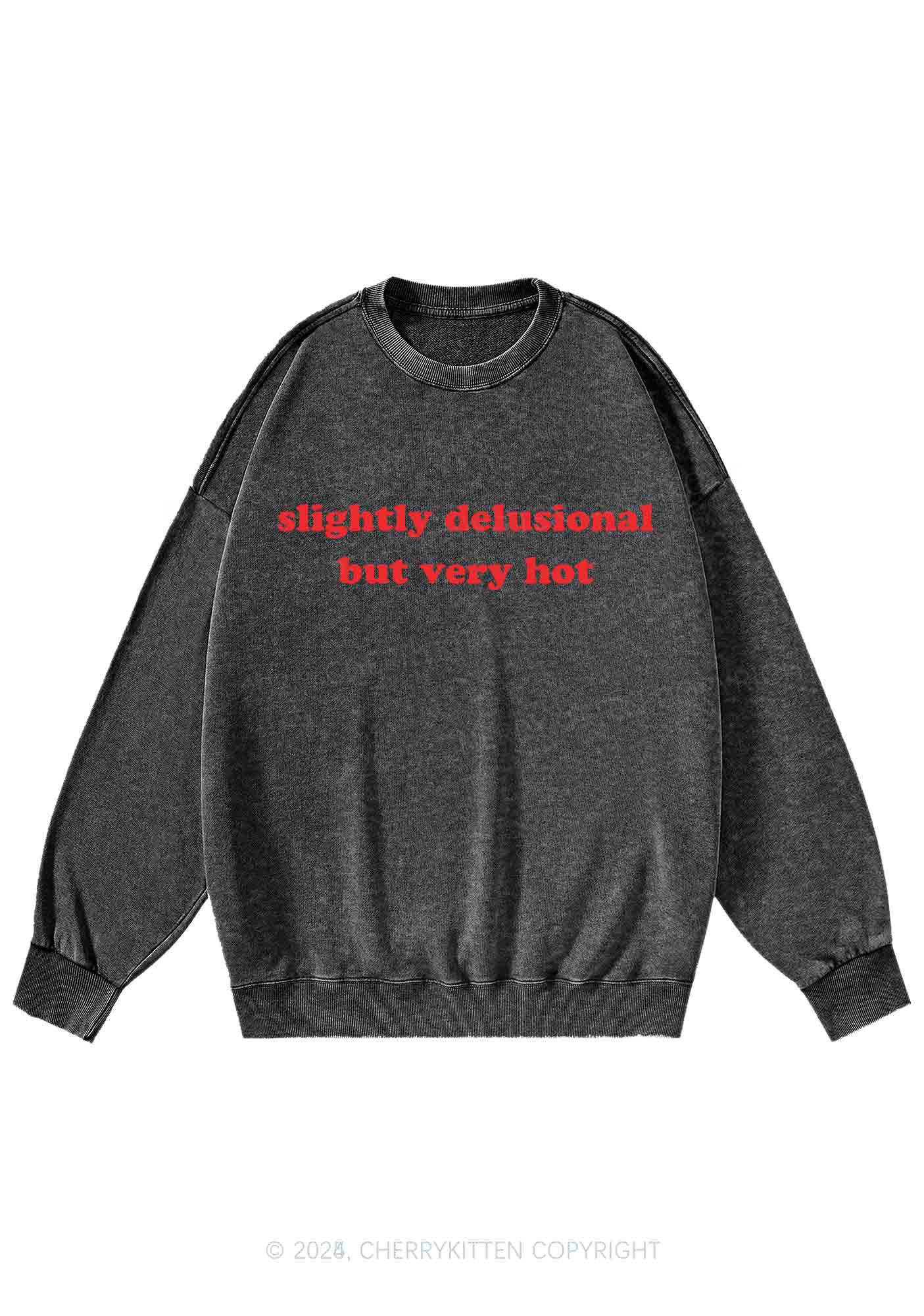 Slightly Delusional But Very Hot Y2K Washed Sweatshirts Cherrykitten
