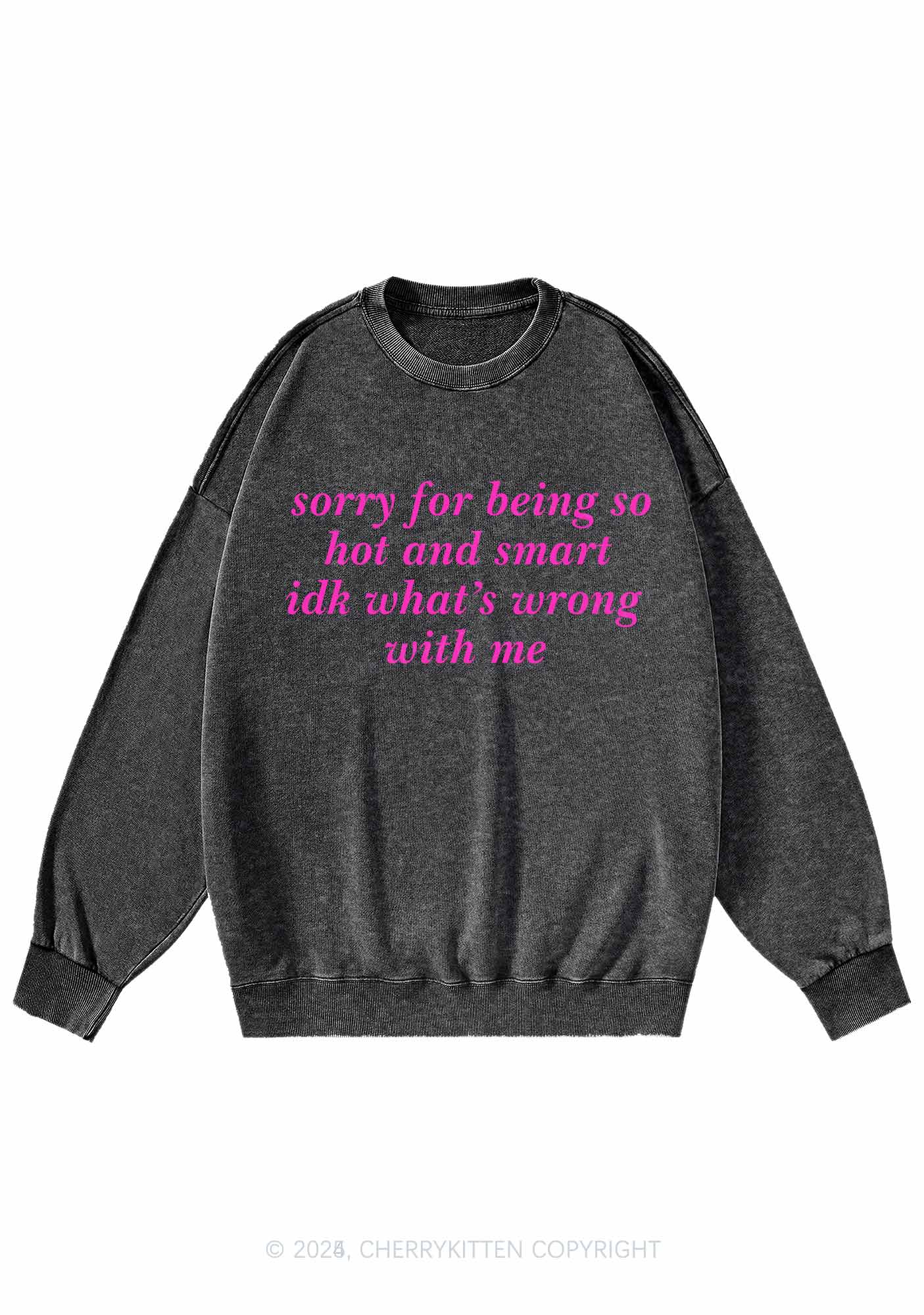 Sorry For Being So Smart Y2K Washed Sweatshirts Cherrykitten