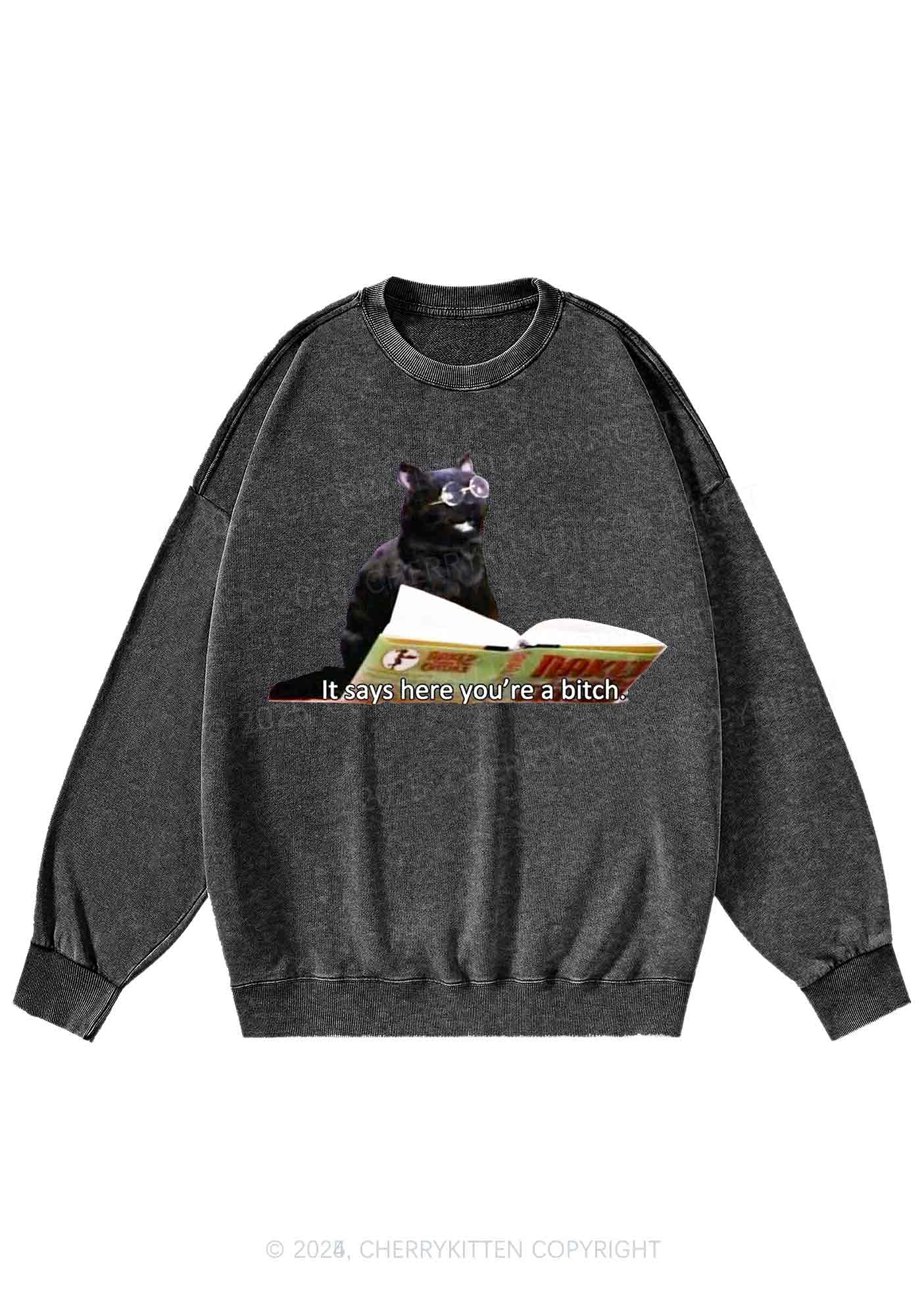 It Says Here Youre A Bixxh Y2K Washed Sweatshirts Cherrykitten