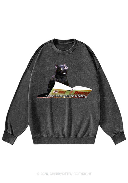 It Says Here Youre A Bixxh Y2K Washed Sweatshirts Cherrykitten