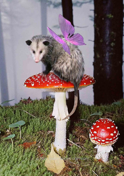 Fairy Possum On Mushroom Y2K Print Cami Crop Top Cherrykitten