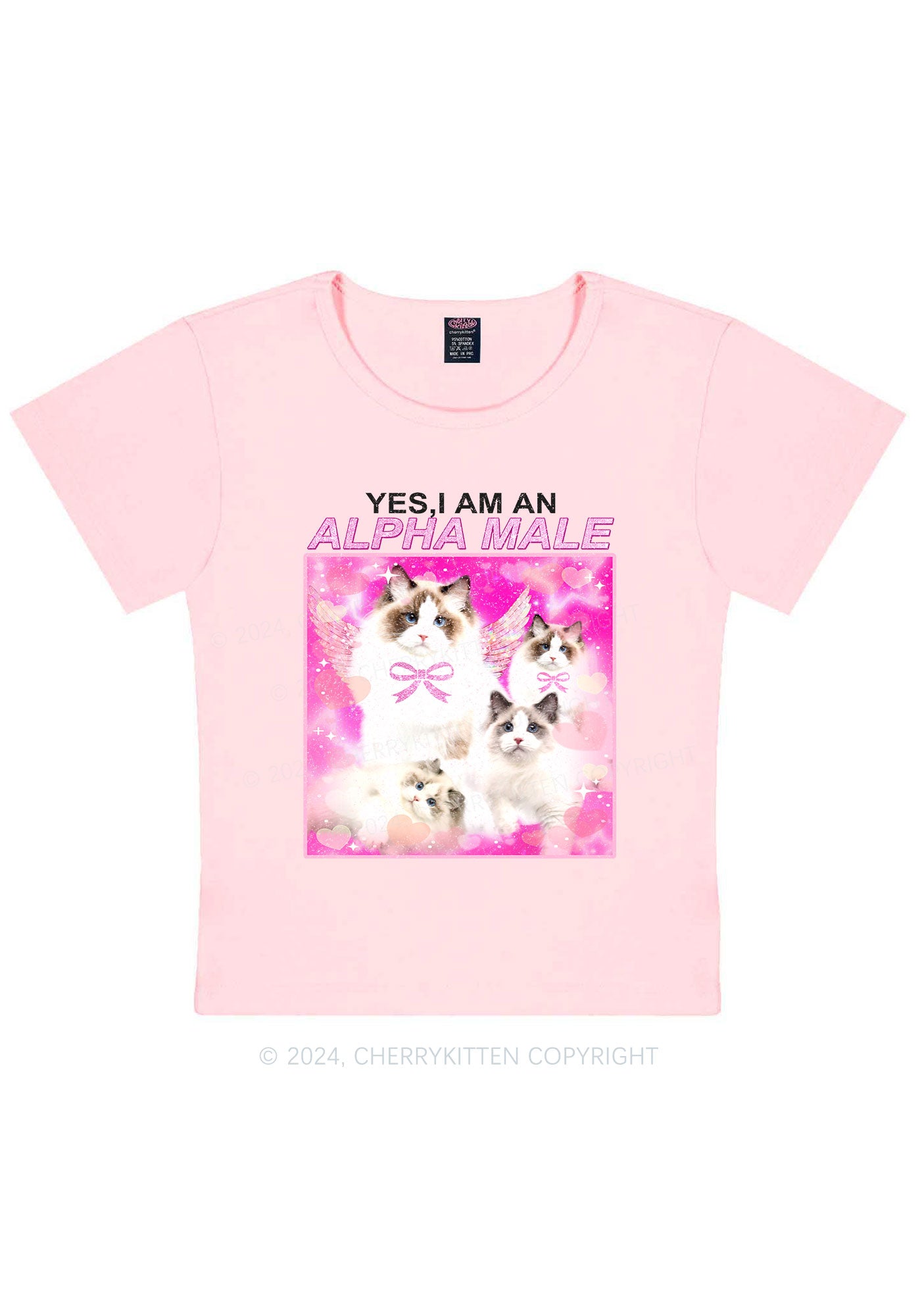 Alpha Male Y2K Baby Tee Cherrykitten