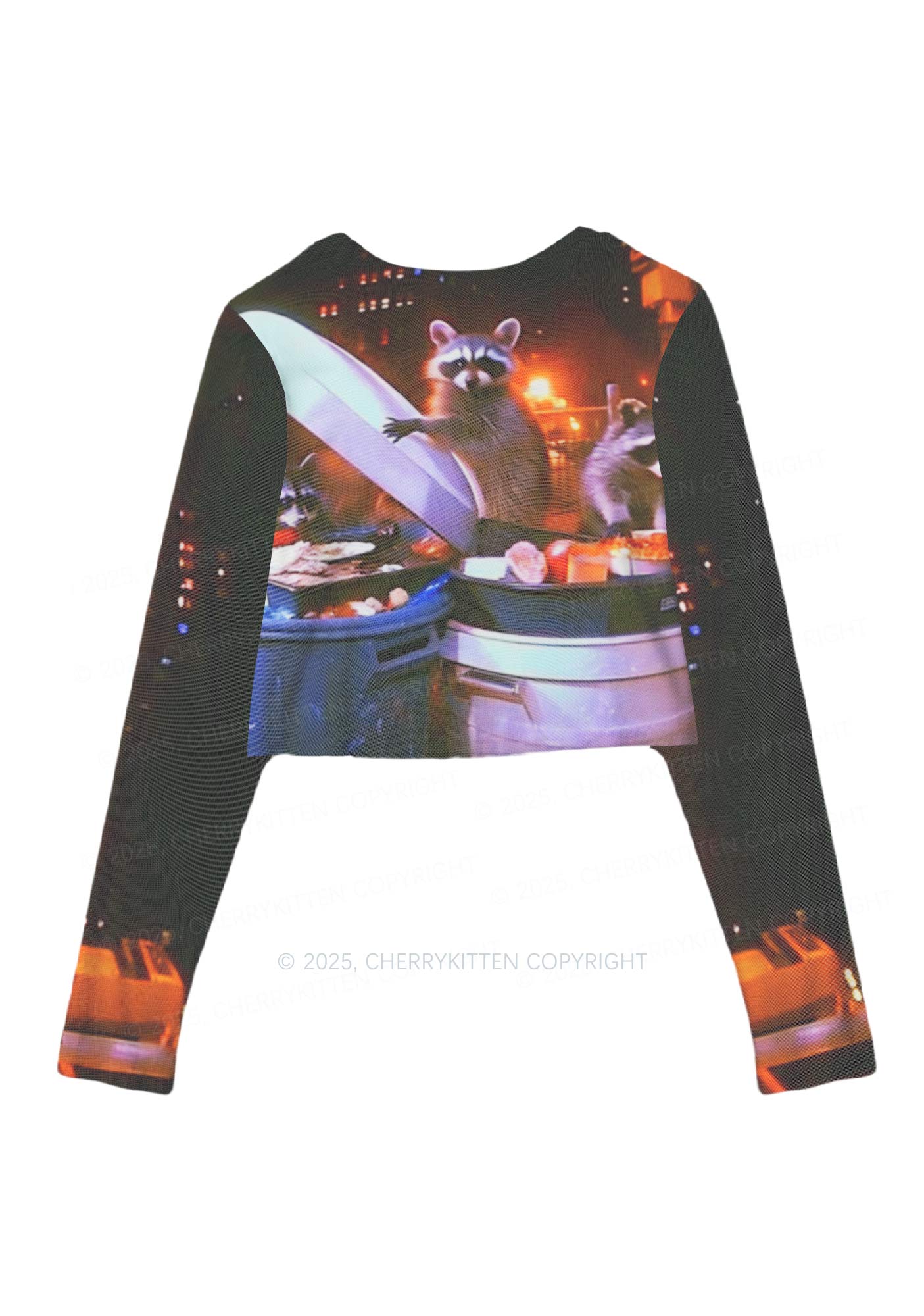 Raccoon Trash Party Y2K Mesh Long Sleeve Crop Top Cherrykitten