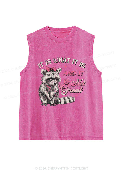 Not Great Raccoon Y2K Washed Tank Cherrykitten
