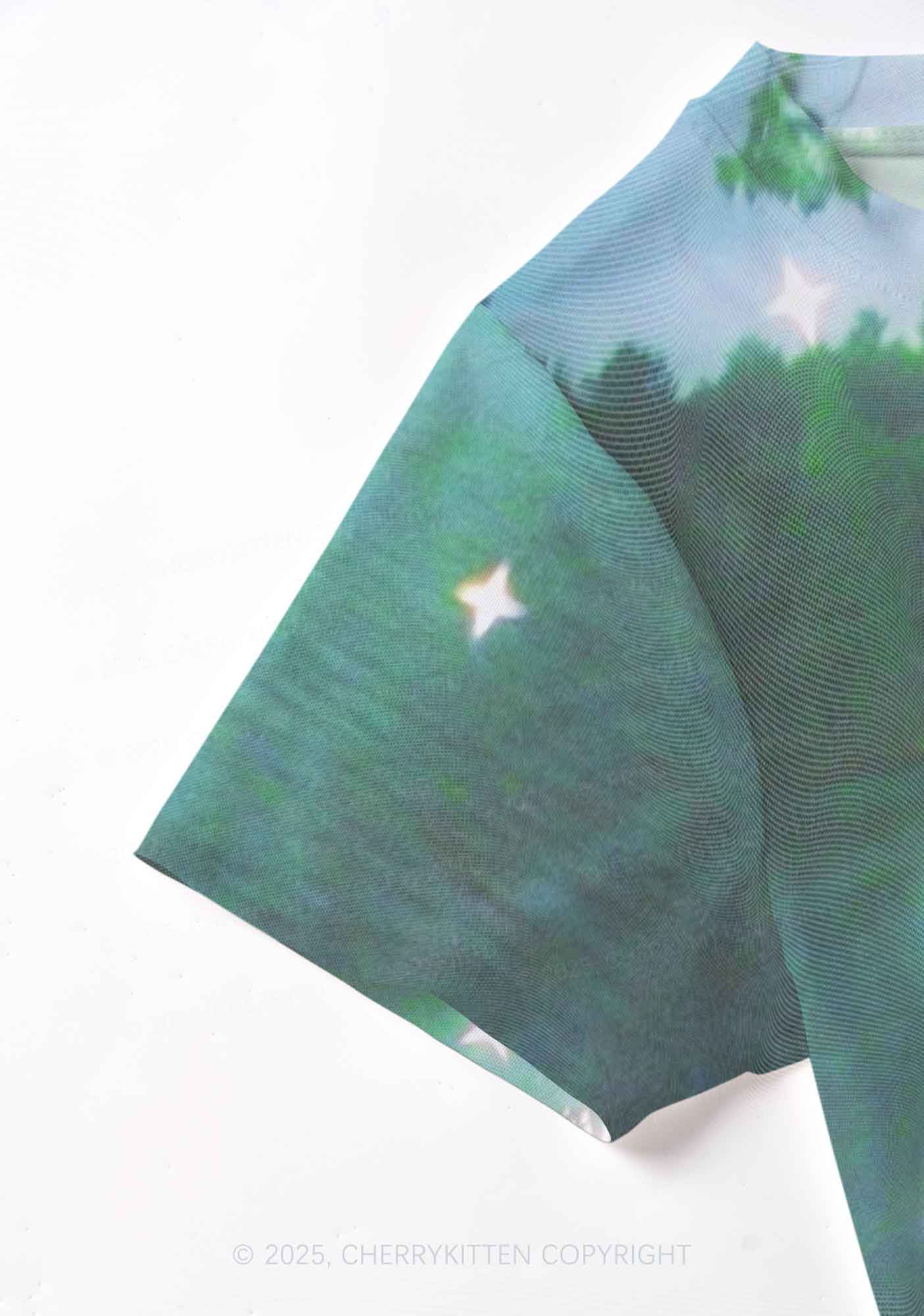 Forest Lake Y2K Mesh Crop Top Cherrykitten