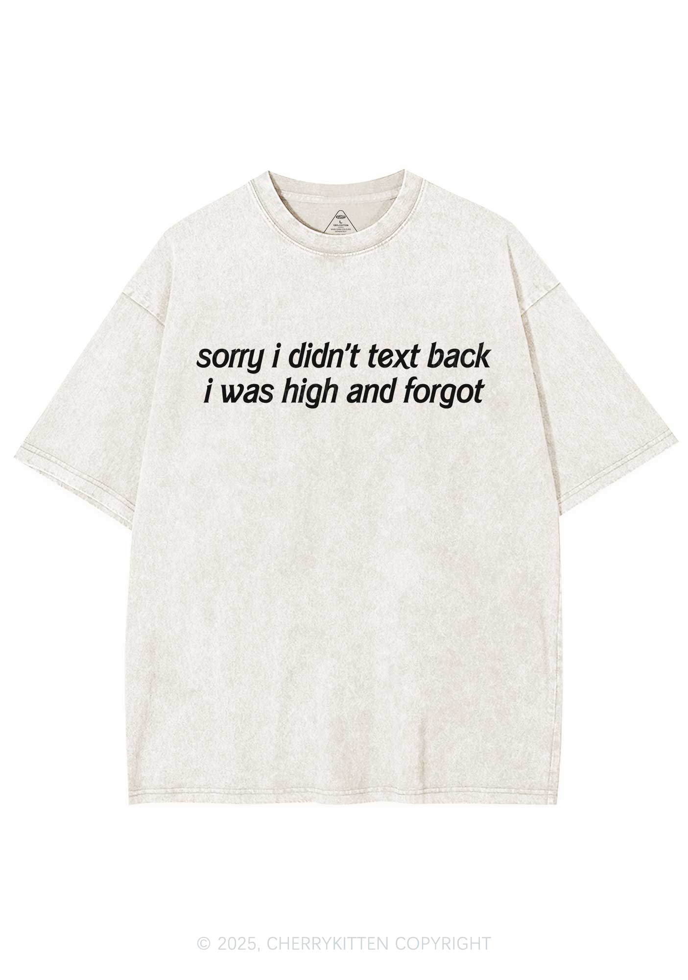 I Was High And Forgot Y2K Shirts Washed Tee Cherrykitten