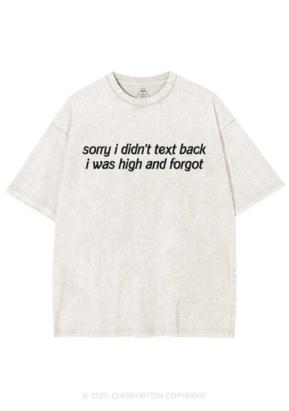I Was High And Forgot Y2K Shirts Washed Tee Cherrykitten