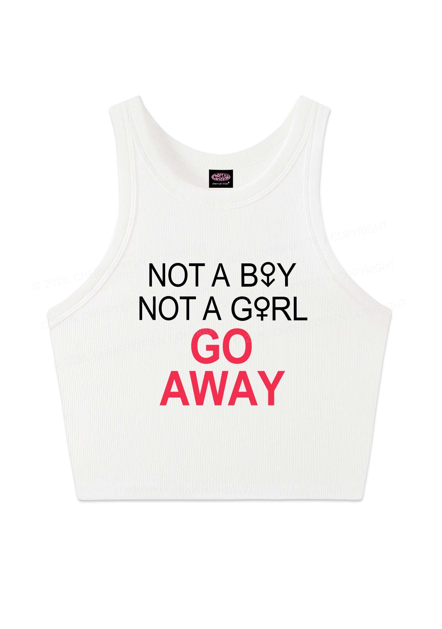 Go Away Pride Y2K Crop Tank Top Cherrykitten