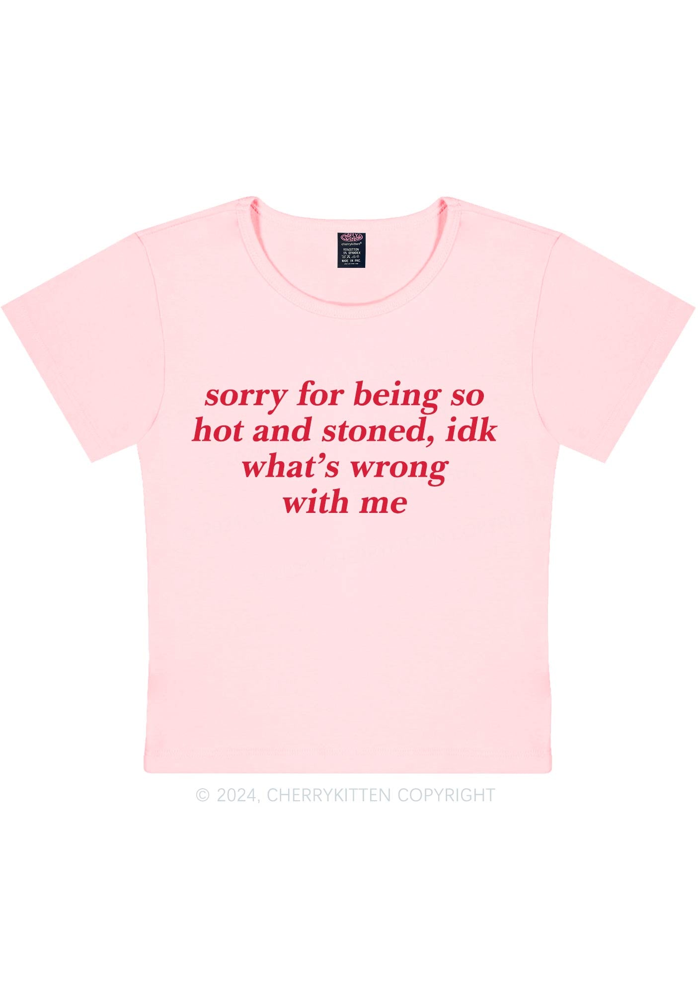 Sorry For Being Hot And Stoned Y2K Baby Tee Cherrykitten
