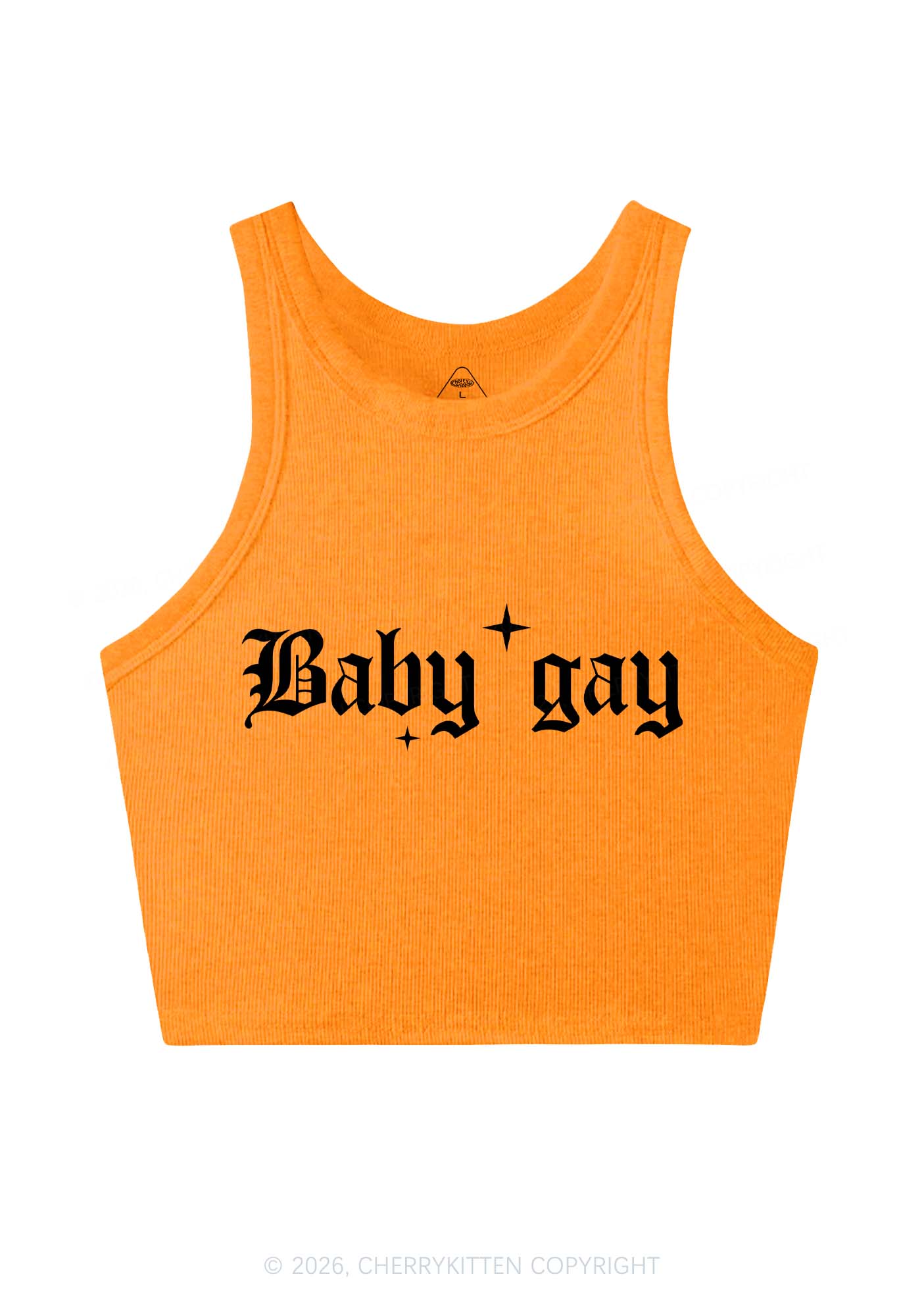 Baby Gay Pride Y2K Crop Tank Top Cherrykitten