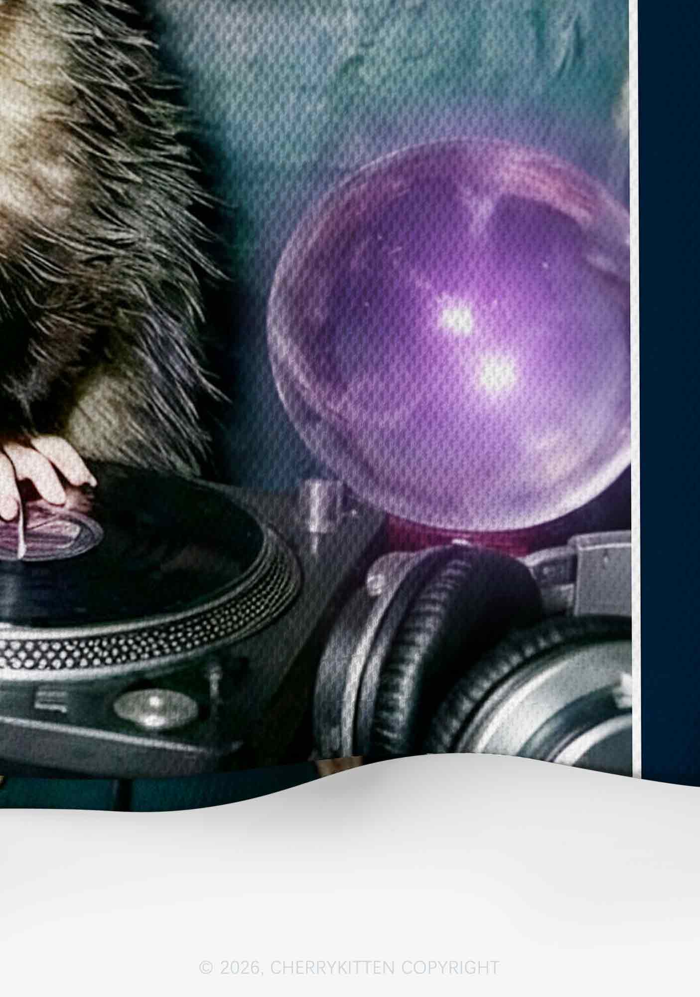 Wizard Opossum DJ Y2K Crop Sport Jersey Shirts Cherrykitten