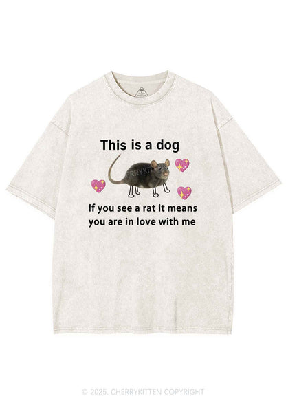 If You See Rat Y2K Shirts Washed Tee Cherrykitten