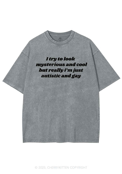 Im Just Autistic And Gay Pride Y2K Shirts Washed Tee Cherrykitten