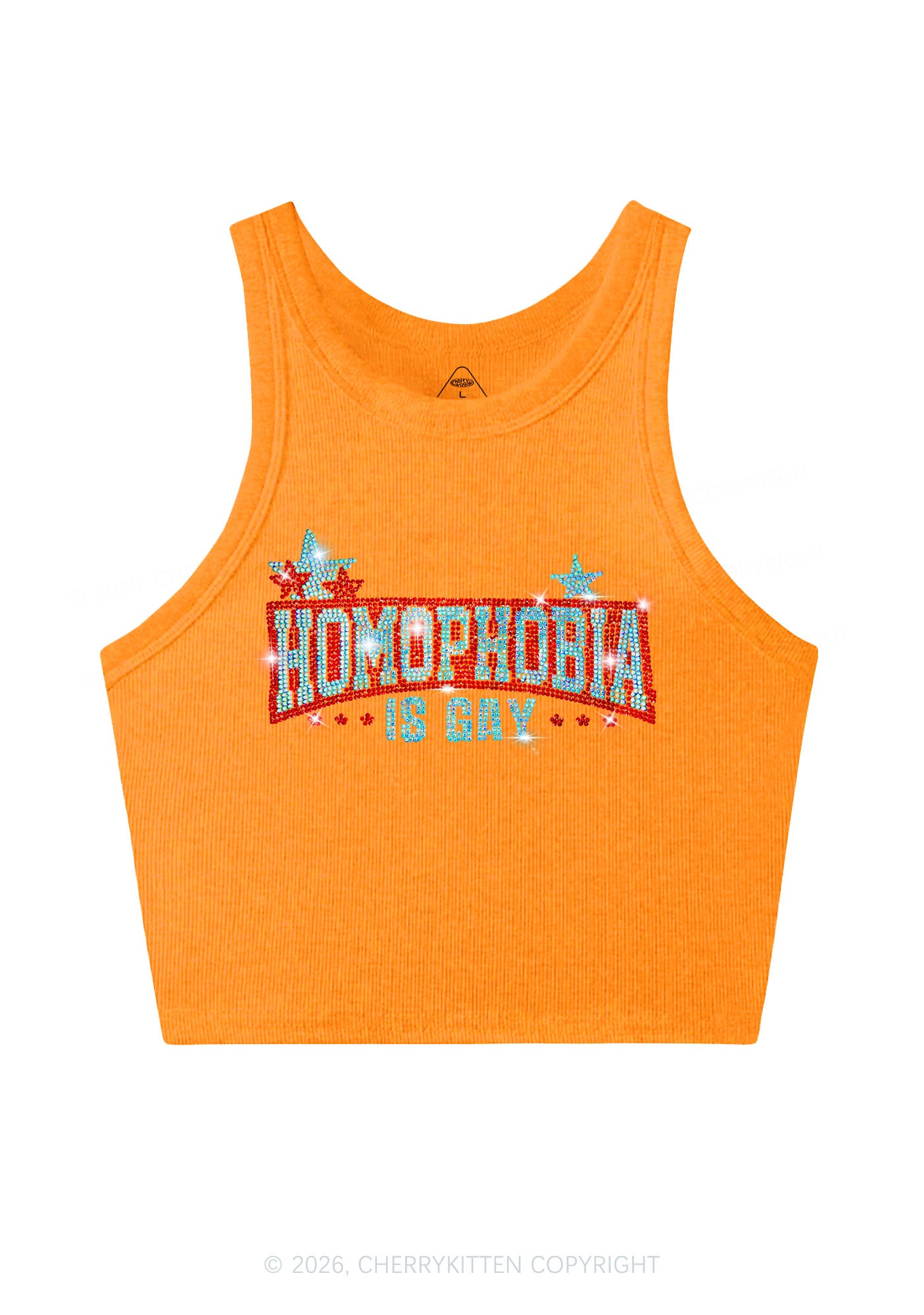 Rhinestone Homophobia Is Gay Pride Y2K Crop Tank Top Cherrykitten