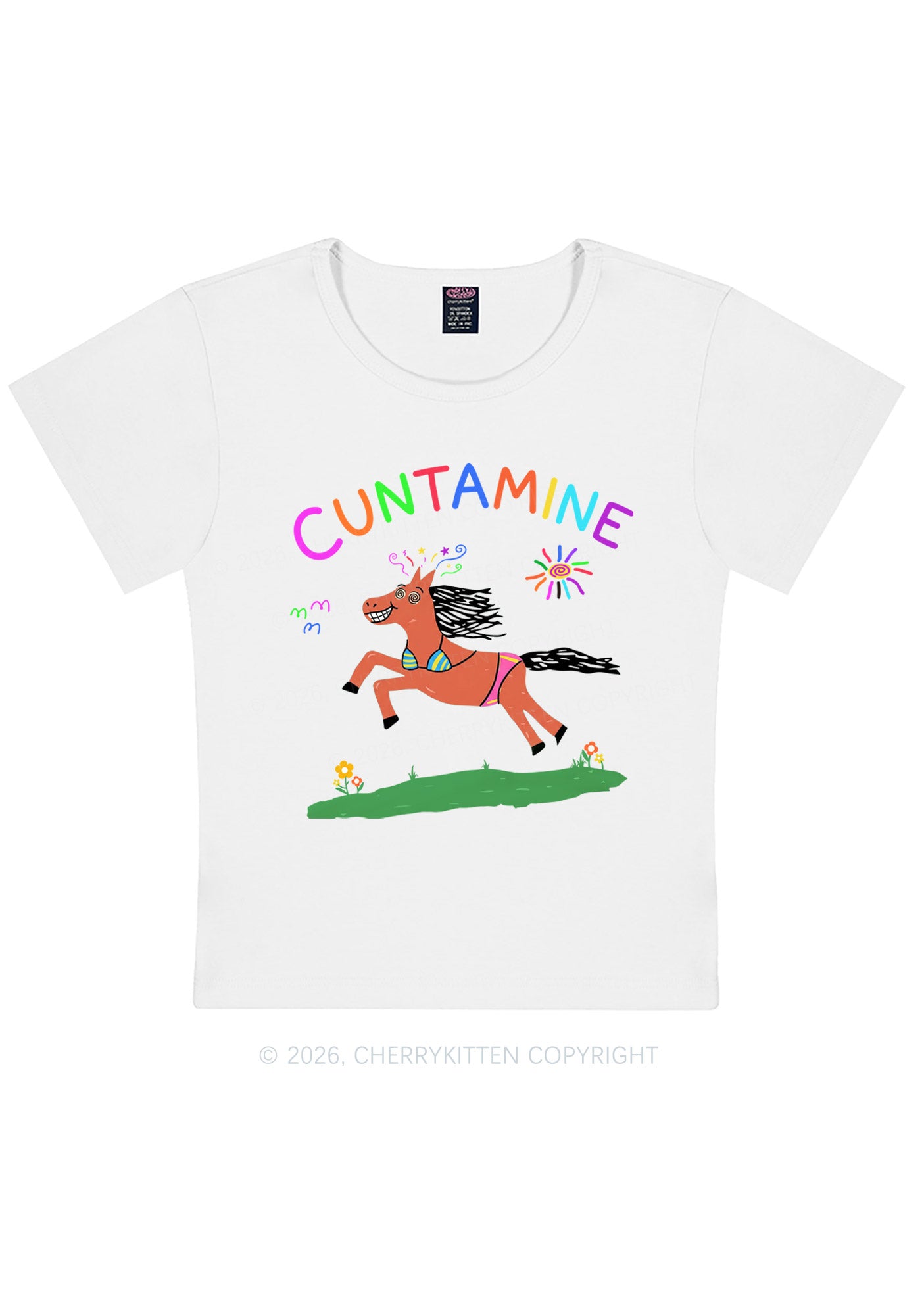 Cxxtamine Pony Y2K Baby Tee Cherrykitten