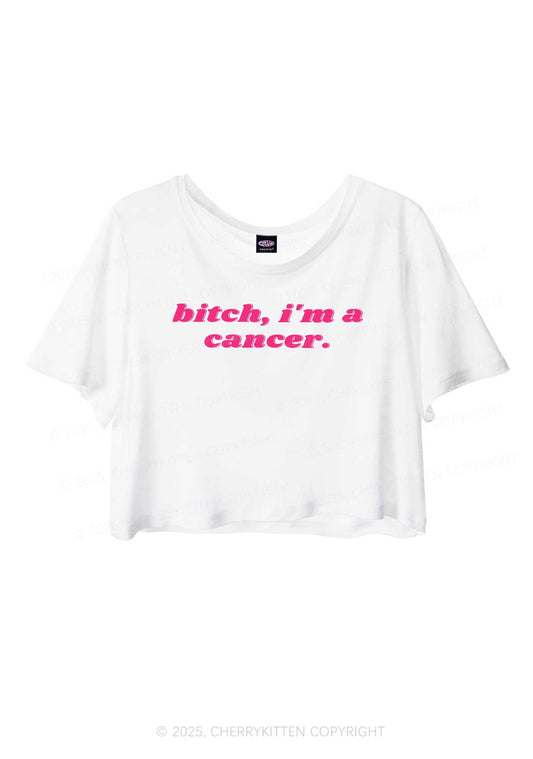 Bxtch Im A Custom Zodiac Y2K Sheer Crop Tee Cherrykitten