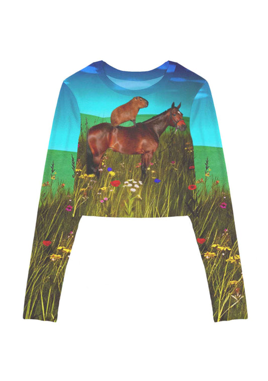 Horseback Capybara Y2K Mesh Long Sleeve Crop Top Cherrykitten